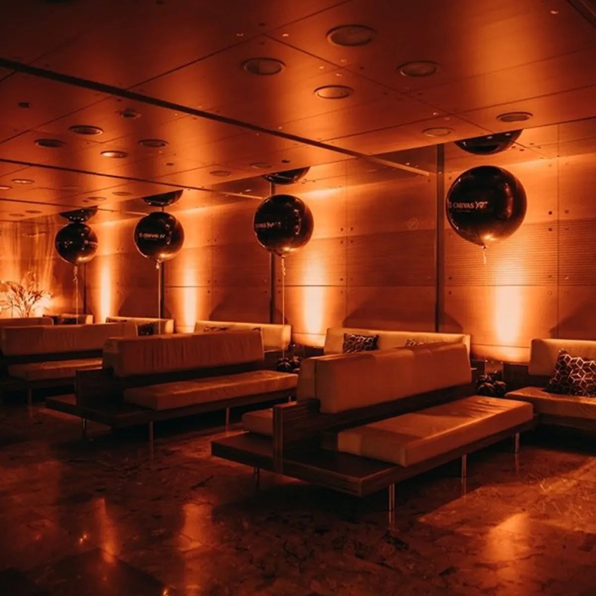 Robe LED par LiteWare™ HO2 (DMX)